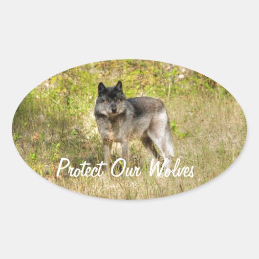 Sticker Ovale Cadeau photo Gray Wolf & Wilderness (Devant)