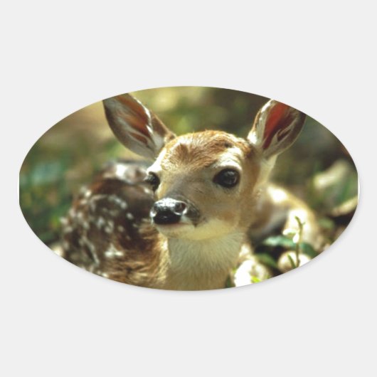 Sticker Ovale Cadeaux de cerfs de bébés (Devant)