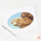 Sticker Ovale Camel Animal Portrait Photo (Enveloppe)