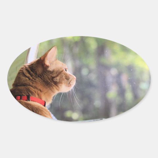Sticker Ovale Camping chat (Devant)