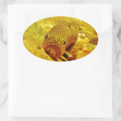 Sticker Ovale Canal en flux (Sac)