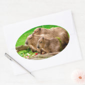 Sticker Ovale Capybara Trio (Enveloppe)