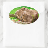 Sticker Ovale Capybara Trio (Sac)