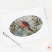 Sticker Ovale Cardinal de Wax Myrtle (Enveloppe)