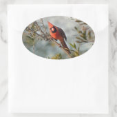 Sticker Ovale Cardinal de Wax Myrtle (Sac)