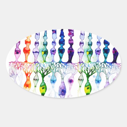 Sticker Ovale Cellules cônes cellules tiges et neurones bipolair (Devant)