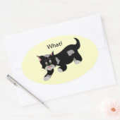 Sticker Ovale Chat Cool avec Citation (Enveloppe)