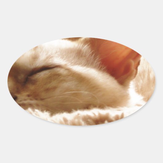 Sticker Ovale Chat couché (Devant)