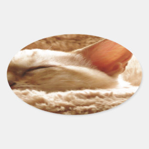Sticker Ovale Chat couché