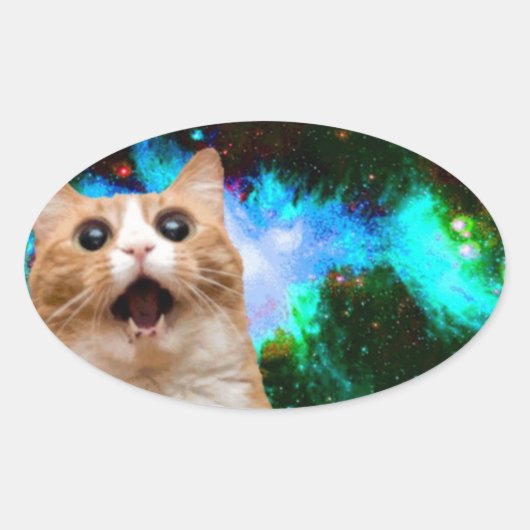 STICKER OVALE CHAT ESPACE GALAXY (Devant)