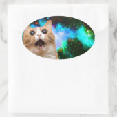 STICKER OVALE CHAT ESPACE GALAXY (Sac)
