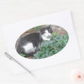 Sticker Ovale Chat noir et blanc dans la verdure (Enveloppe)