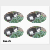 Sticker Ovale Chat noir et blanc dans la verdure (Feuille)