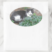 Sticker Ovale Chat noir et blanc dans la verdure (Sac)