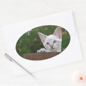 Sticker ovale Chat Savannah blanc (Enveloppe)