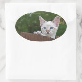 Sticker ovale Chat Savannah blanc (Sac)