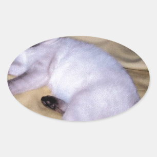Sticker Ovale Chat Siamese grès grès animal art animal animal an