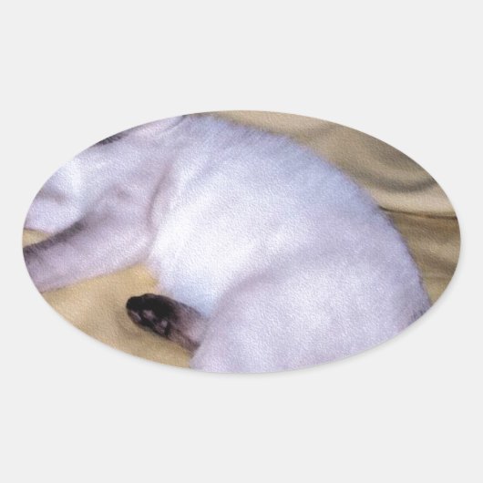 Sticker Ovale Chat Siamese grès grès animal art animal animal an (Devant)