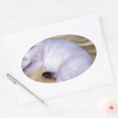Sticker Ovale Chat Siamese grès grès animal art animal animal an (Enveloppe)