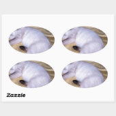 Sticker Ovale Chat Siamese grès grès animal art animal animal an (Feuille)