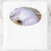 Sticker Ovale Chat Siamese grès grès animal art animal animal an (Sac)