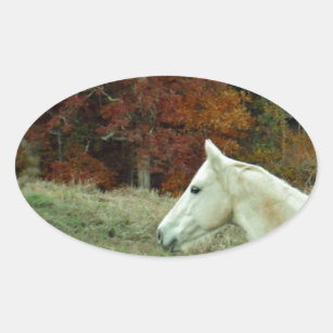 Sticker Ovale Cheval à la crème blanche dans un champ d'automne