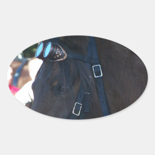 Sticker Ovale Cheval arabe Brown foncé portant des lunettes