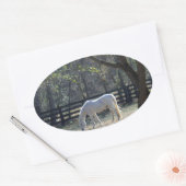 Sticker Ovale Cheval blanc dans les arbres (Enveloppe)