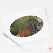 Sticker Ovale Cheval Brown contre une clôture (Enveloppe)