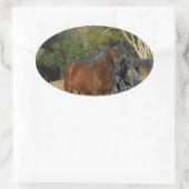 Sticker Ovale Cheval Brown contre une clôture (Sac)