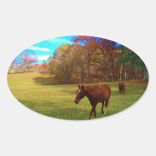 Sticker Ovale Cheval Brown dans un champ de couleur arc-en-ciel