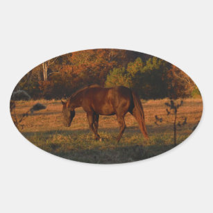 Sticker Ovale Cheval Brown rouge, bois d'automne.