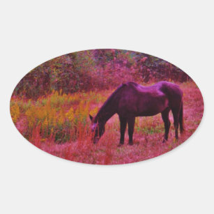 Sticker Ovale Cheval dans un champ de couleur Kaleidoscope