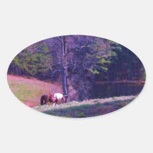 Sticker Ovale Cheval éloigné dans un champ violet