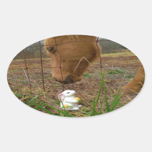 Sticker Ovale cheval et fleur de printemps Bunny
