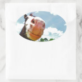 Sticker Ovale Cheval souriant (Sac)