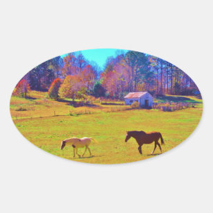 Sticker Ovale Chevaux dans un champ de couleur arc-en-ciel