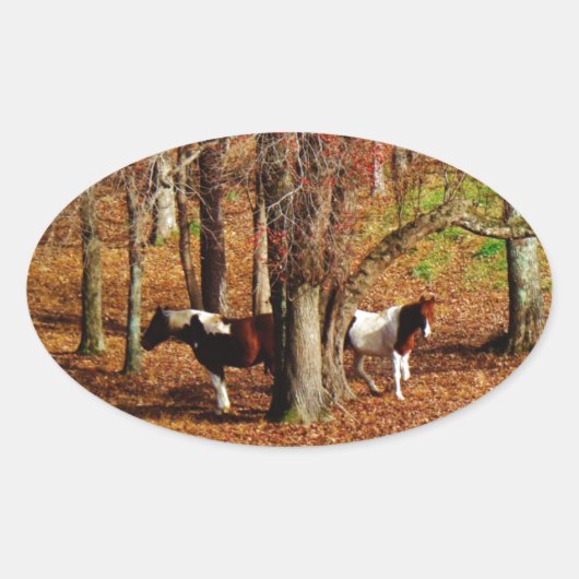 Sticker Ovale Chevaux jumeaux Brown et blancs (Devant)