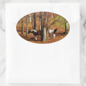 Sticker Ovale Chevaux jumeaux Brown et blancs (Sac)