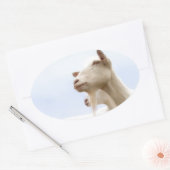 Sticker Ovale Chèvre Saanen (Enveloppe)