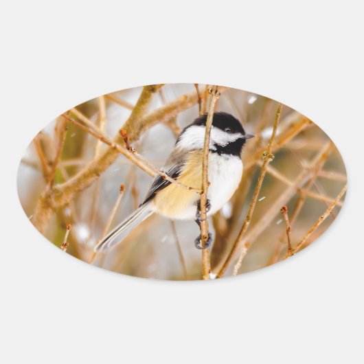 Sticker Ovale Chickadee au plafond noir - Photo originale (Devant)