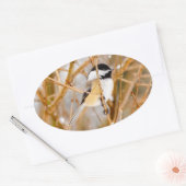 Sticker Ovale Chickadee au plafond noir - Photo originale (Enveloppe)