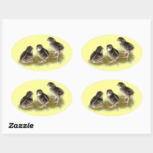 Sticker Ovale Chicks de Coturnix (Feuille)