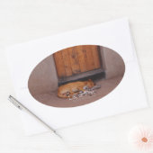 Sticker Ovale Chien au repos (Enveloppe)