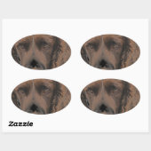 Sticker Ovale Chiens Springer anglais (Feuille)
