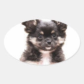 Sticker Ovale Chihuahua Chien chiot (Devant)