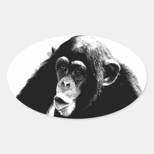 Sticker Ovale Chimpanzé noir blanc (Devant)