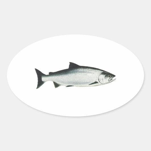 Sticker Ovale Chinook - King Saumon (Devant)