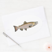 Sticker Ovale Chinook - Saumon du roi (phase de frai) (Enveloppe)