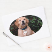 Sticker Ovale Chiot Golden Retriever (Enveloppe)